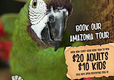 Book Amazonia Tour