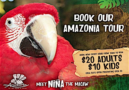 Amazonia Tours Curacao