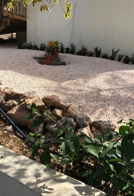 Green Queen Gardening Curacao