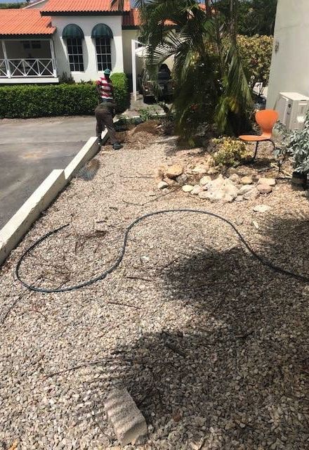 Green Queen Gardening Curacao