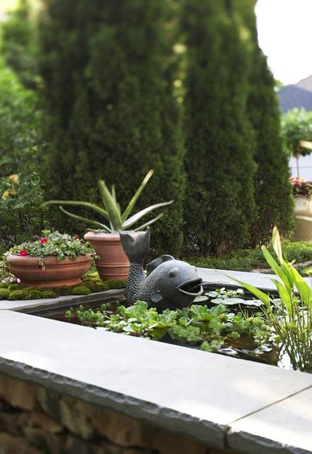 Green Queen Gardening Curacao