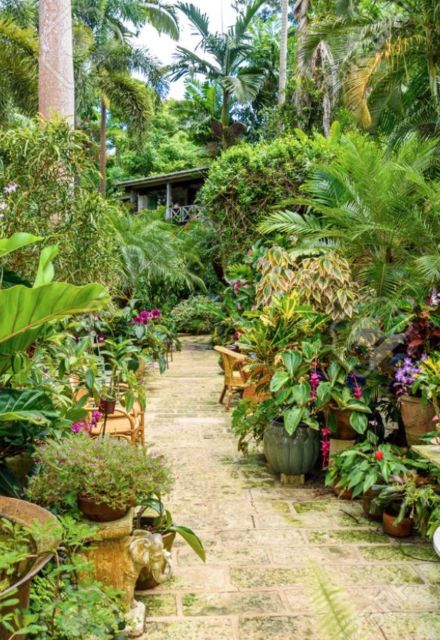 Green Queen Gardening Curacao