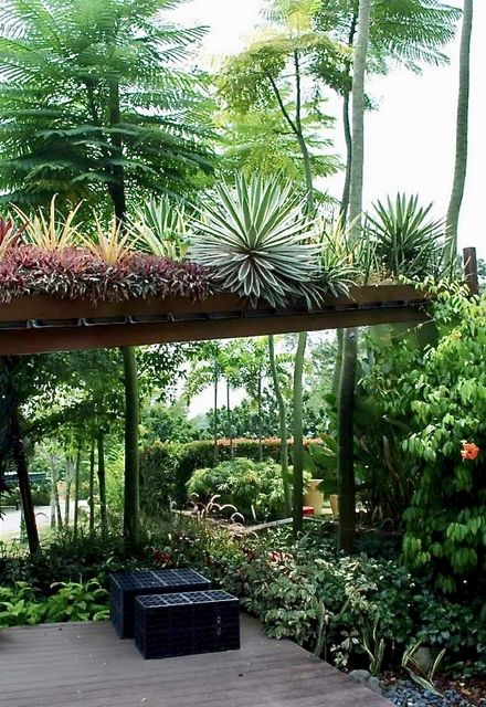 Green Queen Gardening Curacao