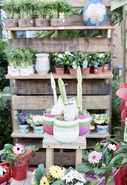 Green Queen Gardening Curacao