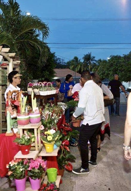 Green Queen Gardening Curacao