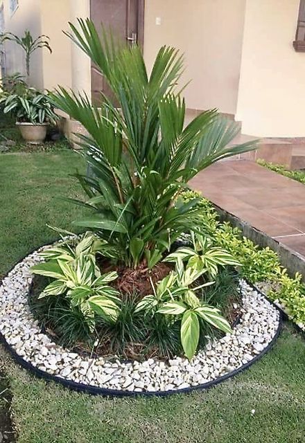 Green Queen Gardening Curacao
